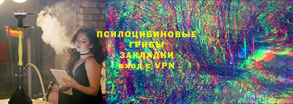 PSILOCYBIN Балабаново