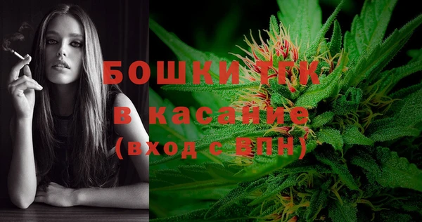 PSILOCYBIN Балабаново