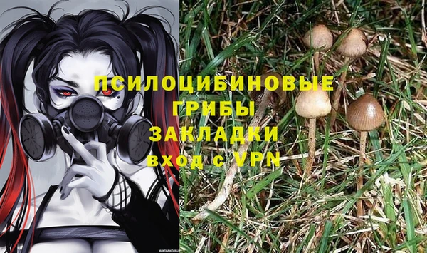 ALPHA-PVP Белокуриха