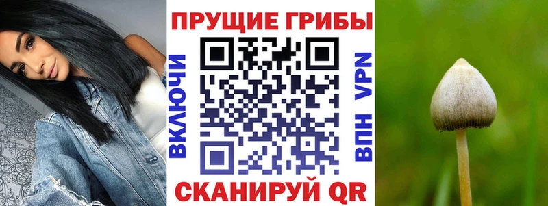 Галлюциногенные грибы MAGIC MUSHROOMS  сколько стоит  Коммунар 